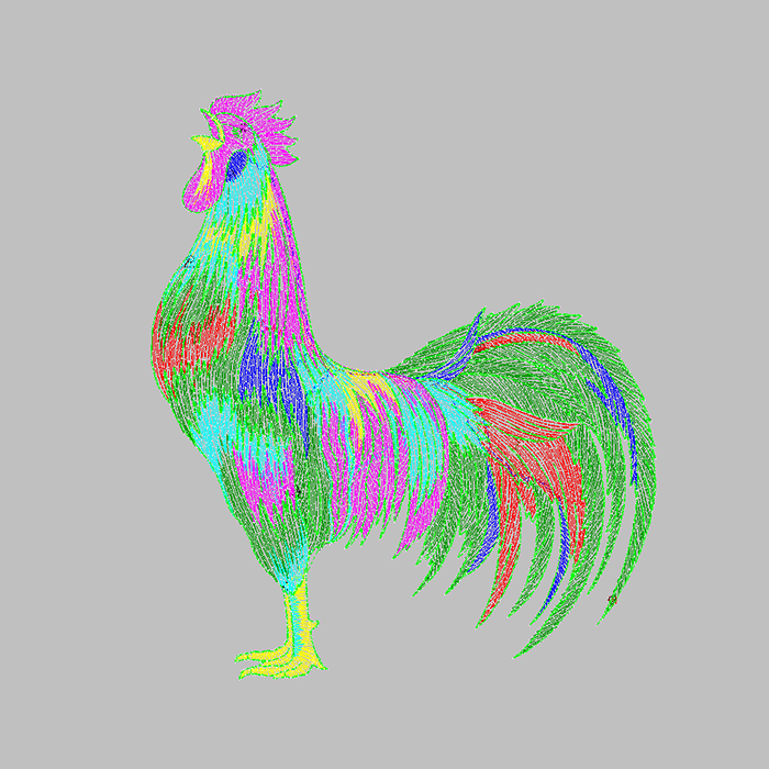 Majestic Rooster 